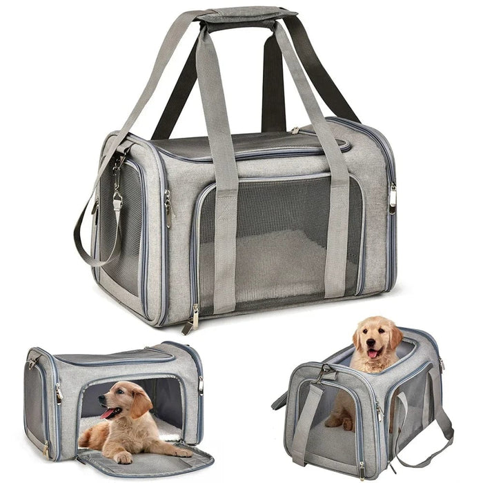 Ryggsäck hund 15 kg