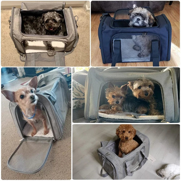 Ryggsäck hund 15 kg