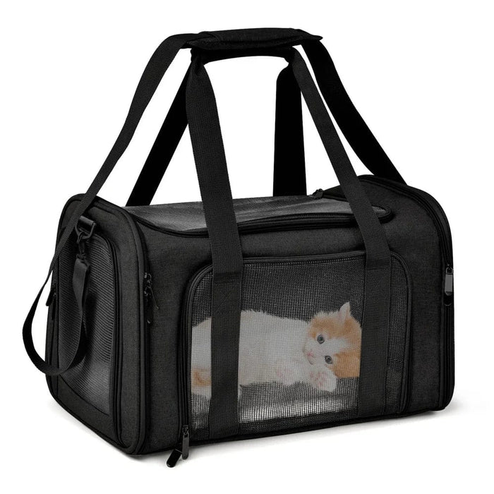 Ryggsäck hund 15 kg Svart / M (43x28x28cm)