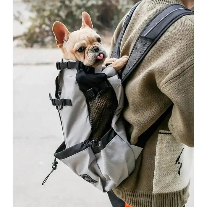 Ryggsäck hund vandring