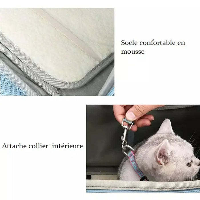 Ryggsäck katt